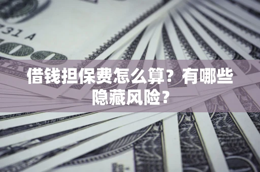 武汉借钱担保费怎么算？有哪些隐藏风险？
