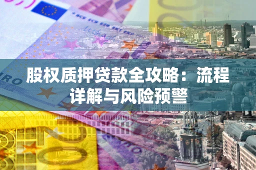 武汉股权质押贷款全攻略：流程详解与风险预警