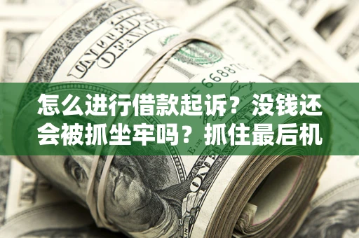 武汉怎么进行借款起诉？没钱还会被抓坐牢吗？抓住最后机会！