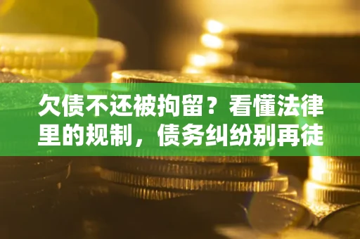 武汉欠债不还被拘留？看懂法律里的规制，债务纠纷别再徒劳奔波