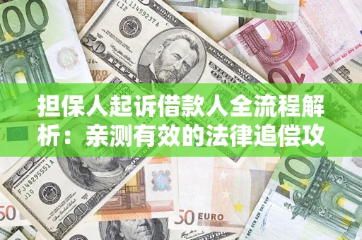 武汉担保人起诉借款人全流程解析：亲测有效的法律追偿攻略