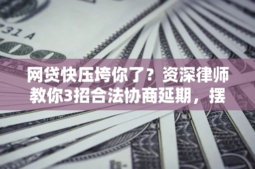 武汉网贷快压垮你了？资深律师教你3招合法协商延期，摆脱暴力催收！