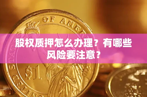 武汉股权质押怎么办理？有哪些风险要注意？