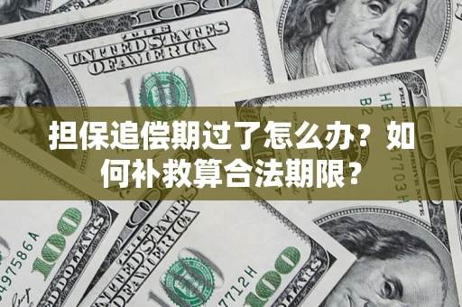 武汉担保追偿期过了怎么办？如何补救算合法期限？