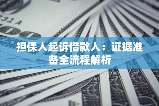武汉担保人起诉借款人：证据准备全流程解析