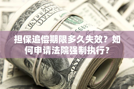 武汉担保追偿期限多久失效？如何申请法院强制执行？