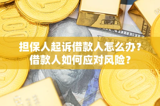 武汉担保人起诉借款人怎么办？借款人如何应对风险？