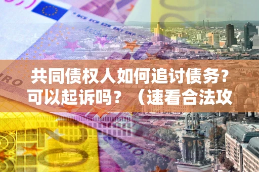 武汉共同债权人如何追讨债务？可以起诉吗？（速看合法攻略）
