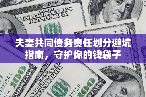 武汉夫妻共同债务责任划分避坑指南，守护你的钱袋子
