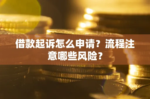 武汉借款起诉怎么申请？流程注意哪些风险？
