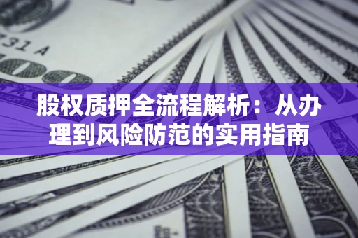武汉股权质押全流程解析：从办理到风险防范的实用指南