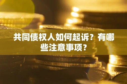 武汉共同债权人如何起诉？有哪些注意事项？